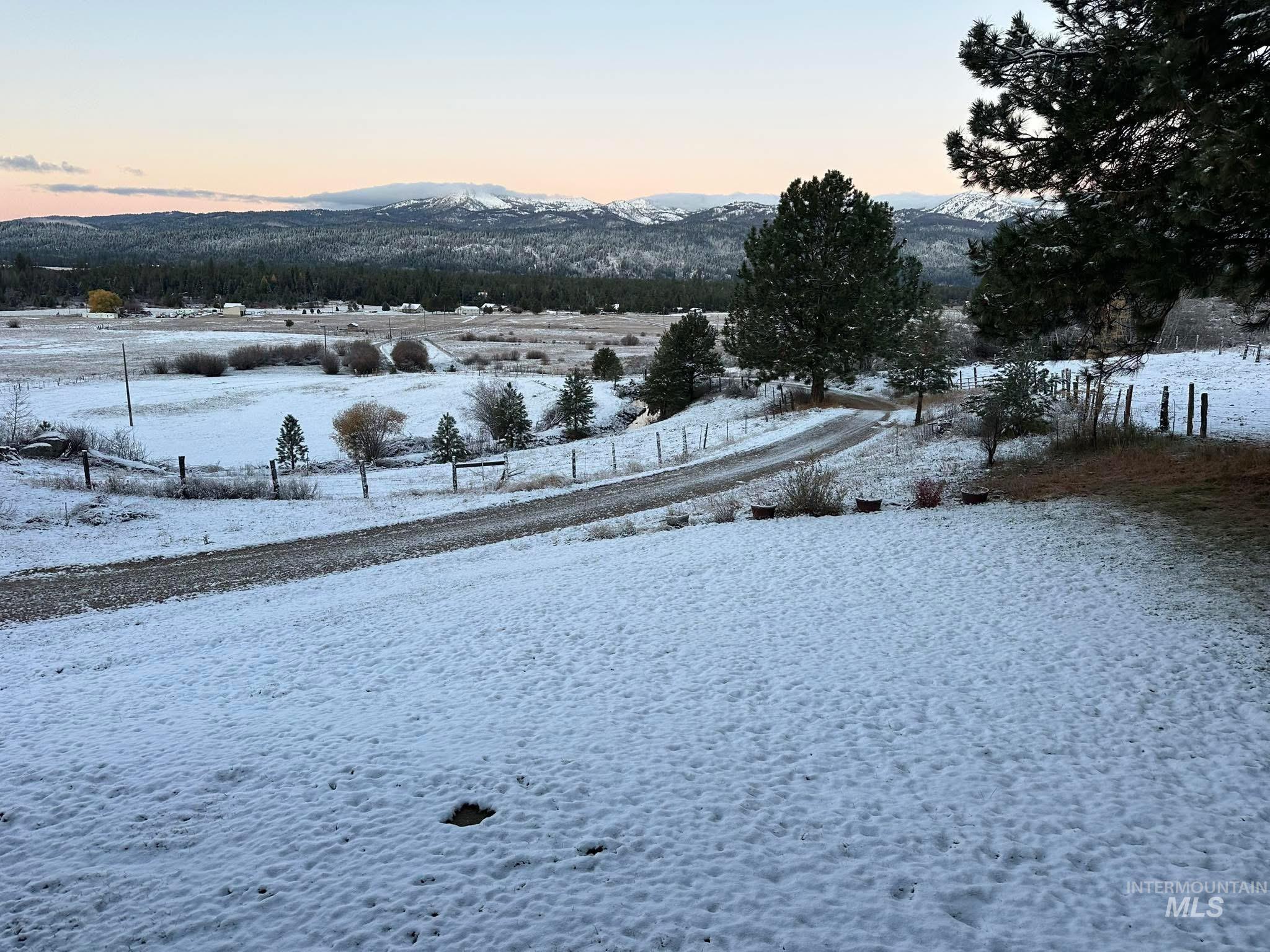 40 Atkin Lane Cascade, ID 83611 - Photo 36 of 46 Expansive landscape featuring a line of mature evergreen trees and distant mountain ranges