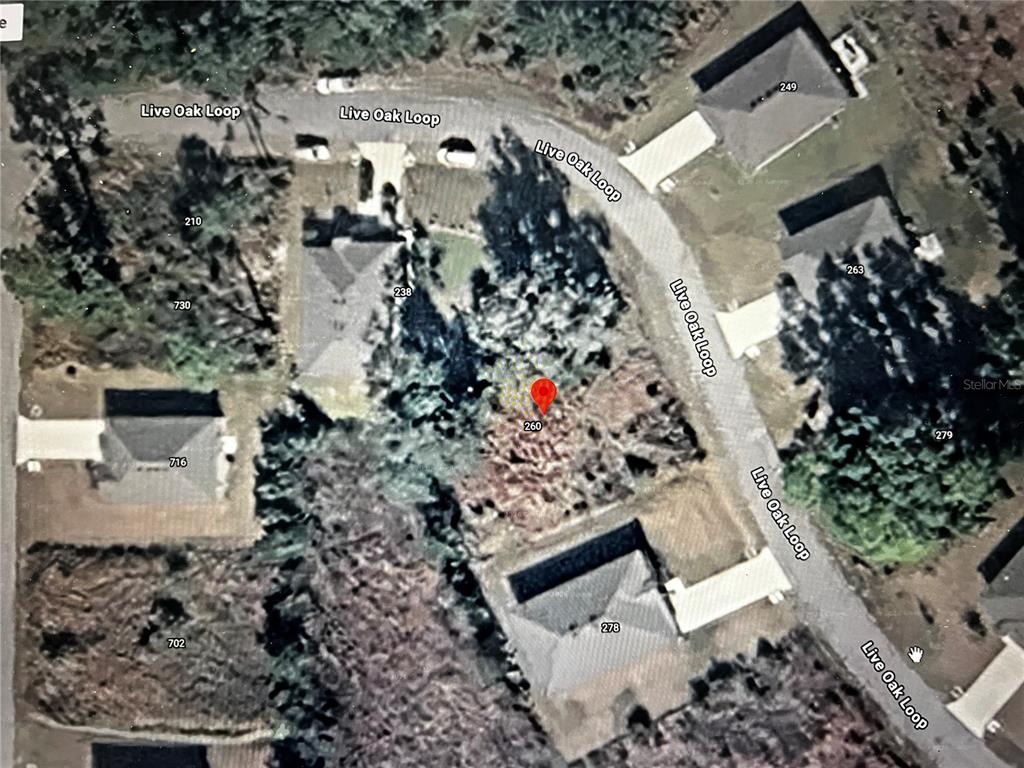 260 Live Oak Loop Crescent City, FL 32112 - Photo 5 of 18
