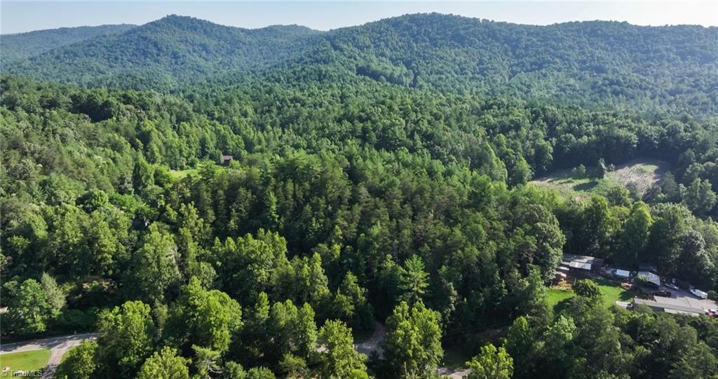 Tbd Boone Trail Purlear, NC 28665 - Photo 43 of 45