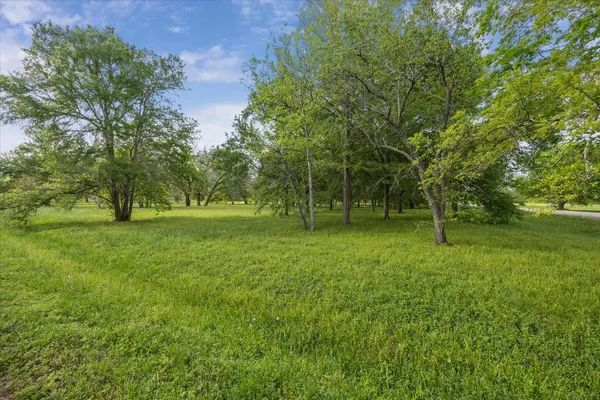 a view of outdoor space with green field and trees
