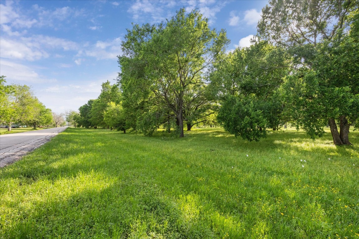 0 Custer Road Wallis, TX 77485 - Photo 10 of 13 a view of green field with trees in the background