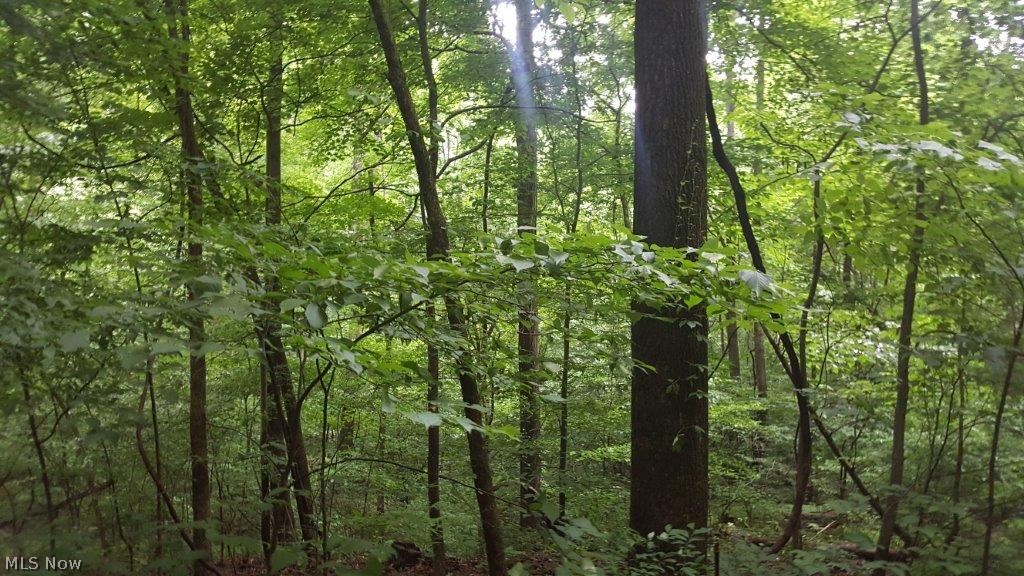 5846 Holmes Church Road Northeast New Philadelphia, OH 44663 - Photo 9 of 34