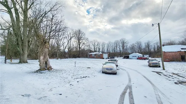 a view of a park with large trees
