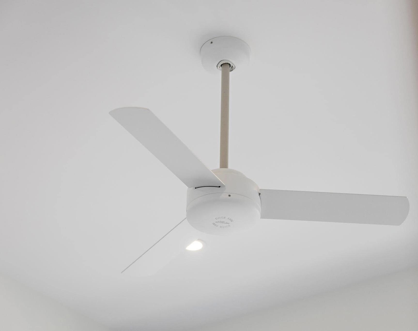 153 Orchard Street, Unit 2 East Rutherford, NJ 07073 - Photo 19 of 23 Gallery Image 19