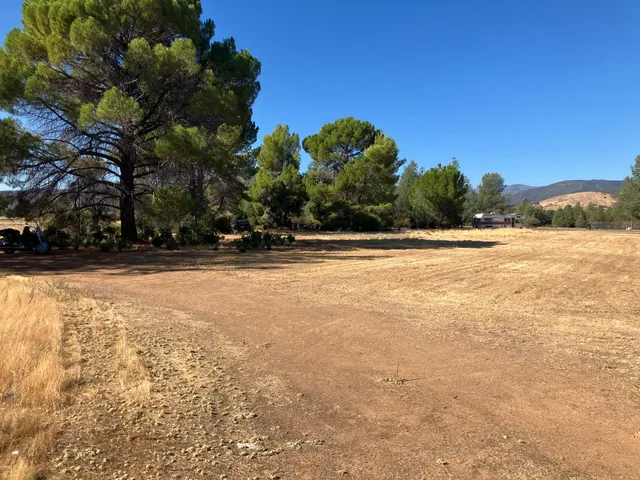a view of a field with trees in the background