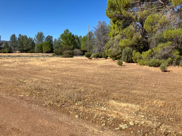 a view of a yard with wooden fence
