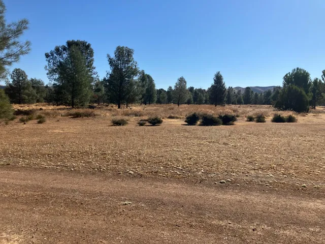 $15,000 | 120 Millie Lane, Stonyford, CA 95979