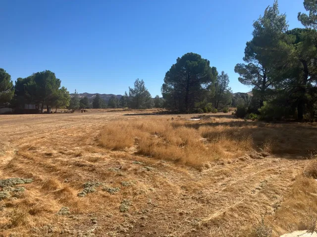 $15,000 | 120 Millie Lane, Stonyford, CA 95979