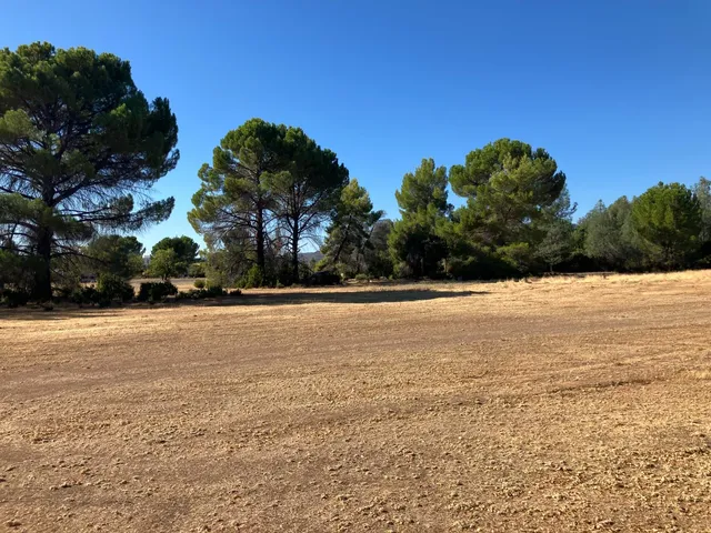 a view of outdoor space with lots of trees in the background