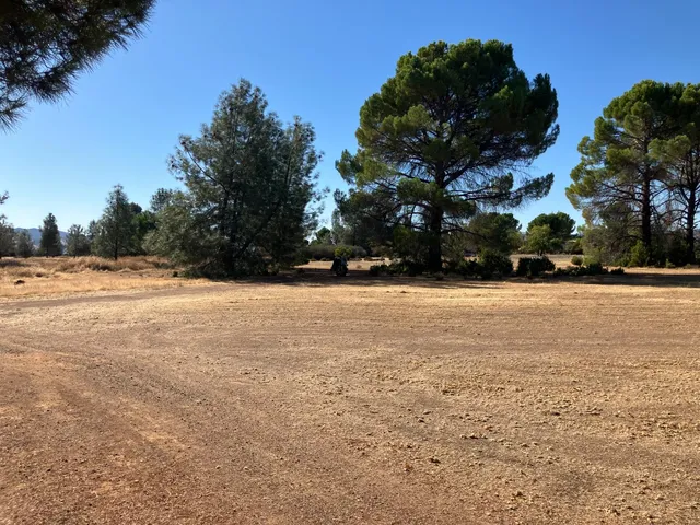 a view of dirt field with trees around