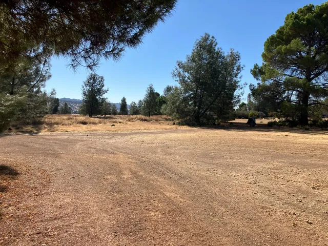 a view of dirt yard with a large tree