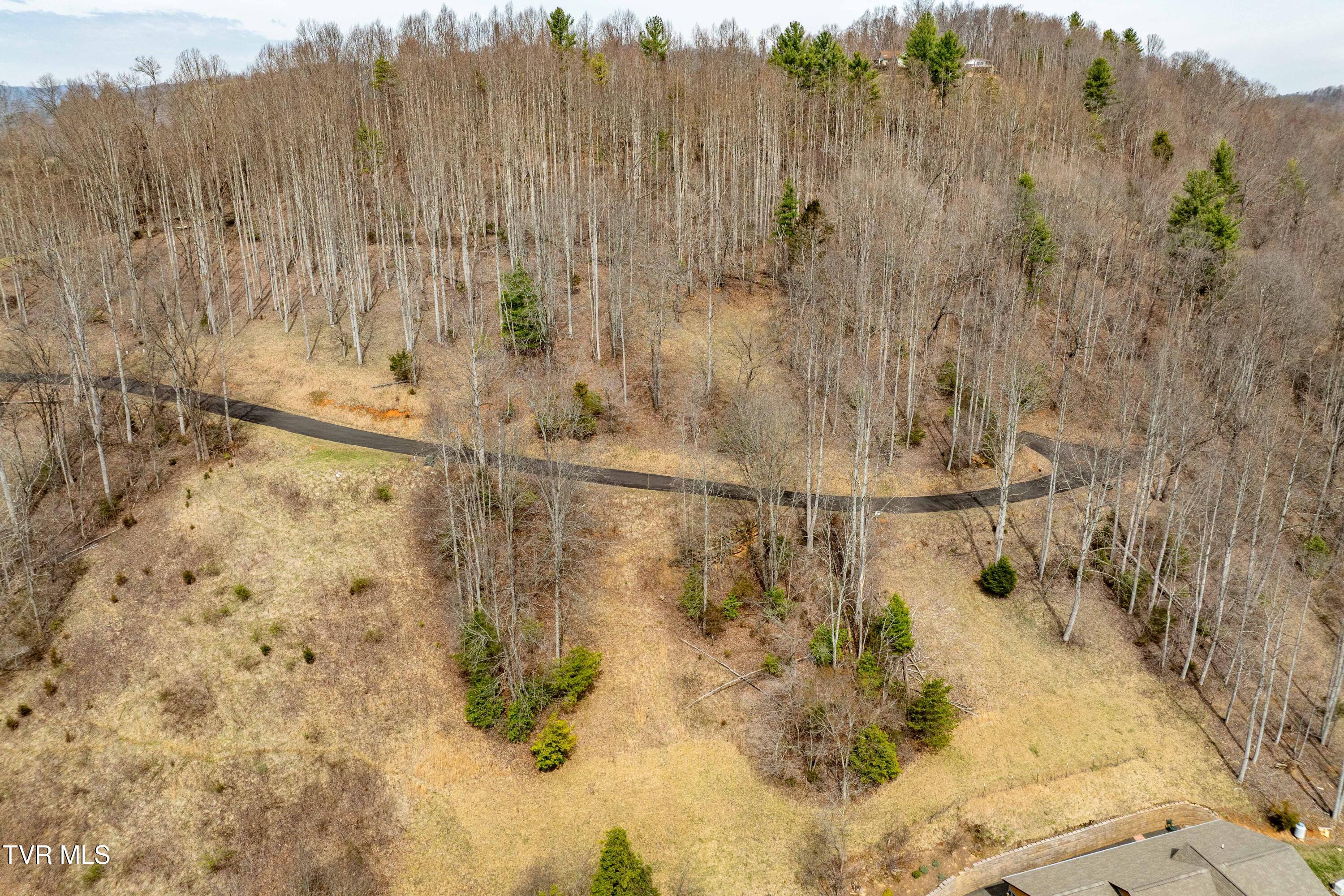 Tbd Tbd Lane, Unit 19 Butler, TN 37640 - Photo 16 of 31 TD Lakeridge Lot 19 (16 of 31)