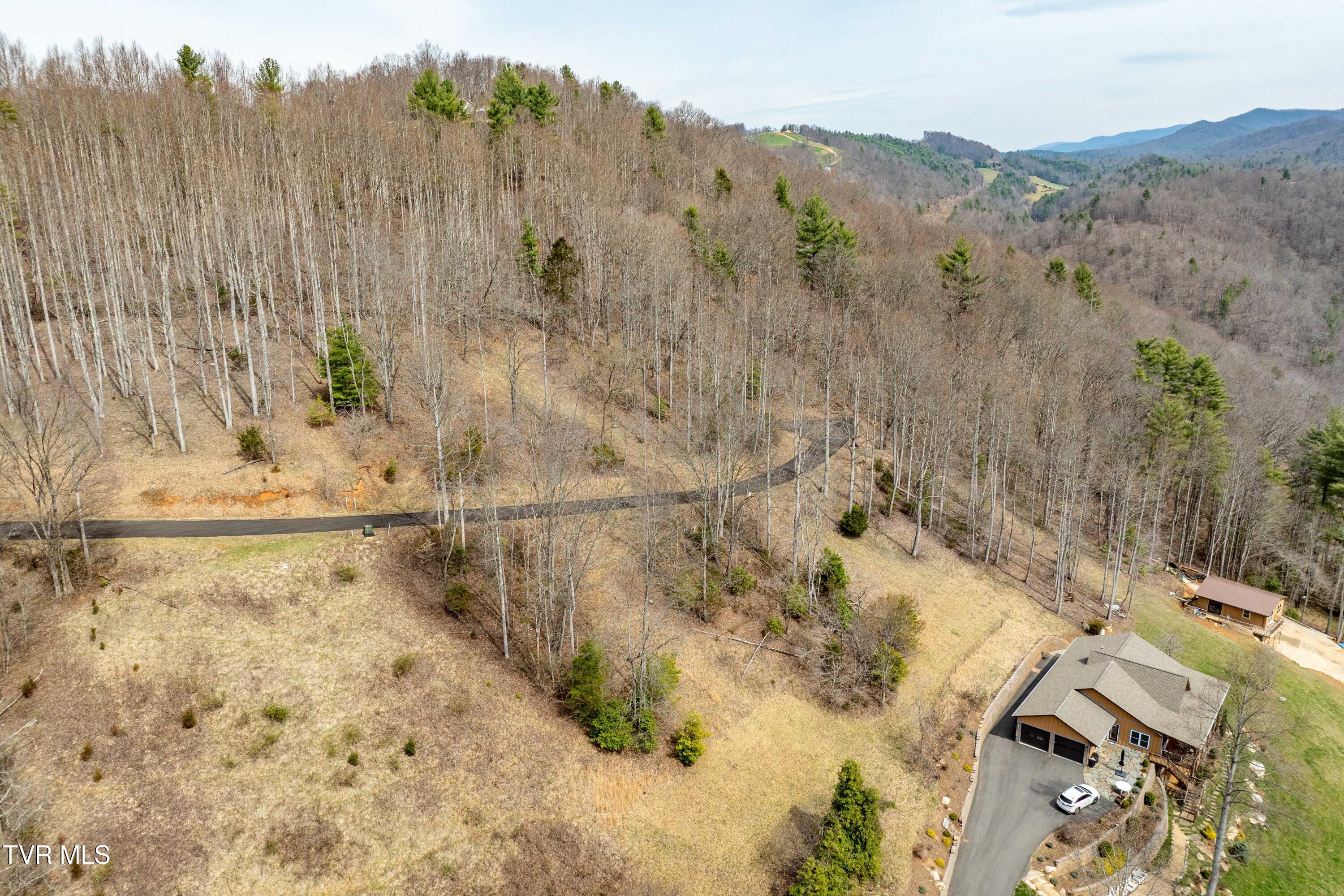 Tbd Tbd Lane, Unit 19 Butler, TN 37640 - Photo 18 of 31 TD Lakeridge Lot 19 (18 of 31)