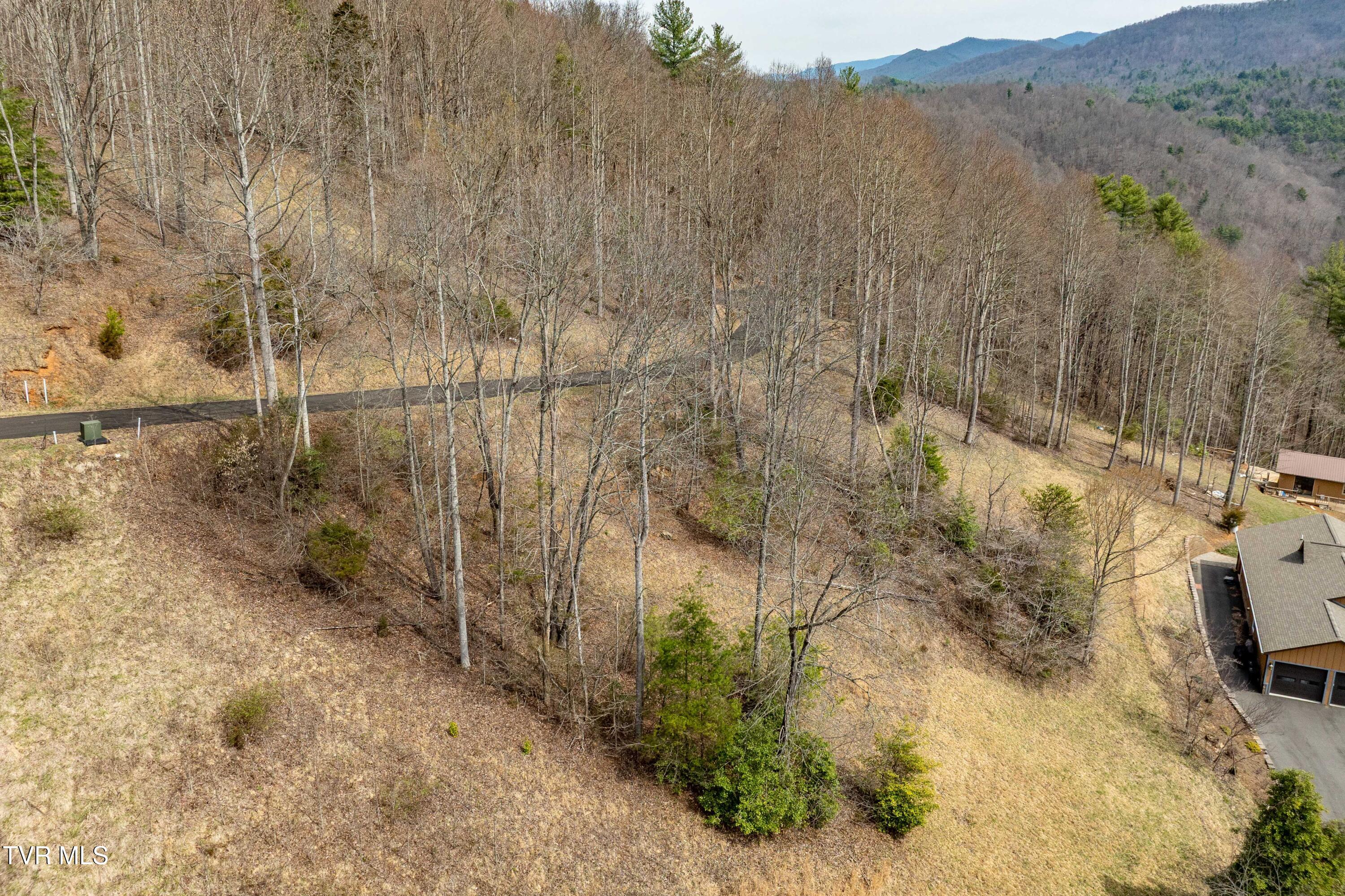 Tbd Tbd Lane, Unit 19 Butler, TN 37640 - Photo 19 of 31 TD Lakeridge Lot 19 (19 of 31)