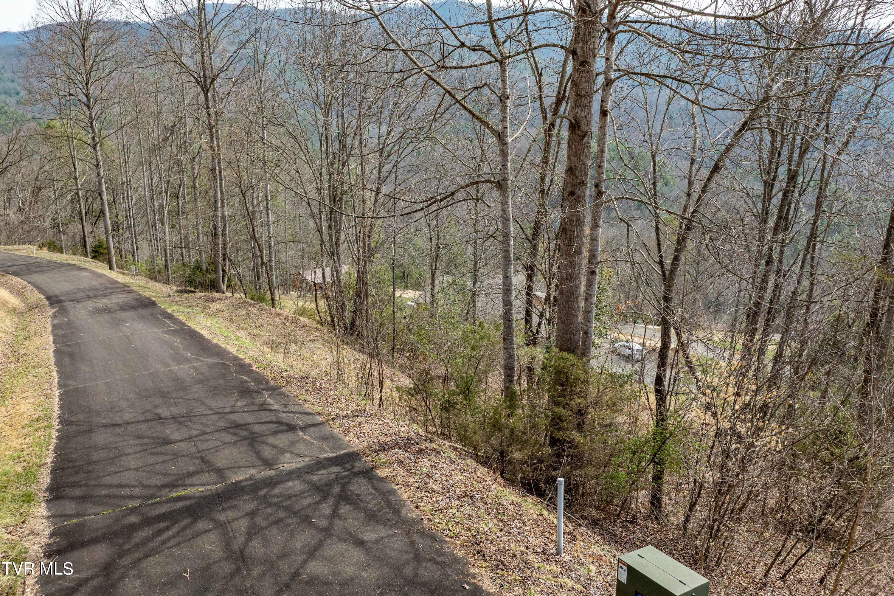 Tbd Tbd Lane, Unit 19 Butler, TN 37640 - Photo 20 of 31 TD Lakeridge Lot 19 (20 of 31)