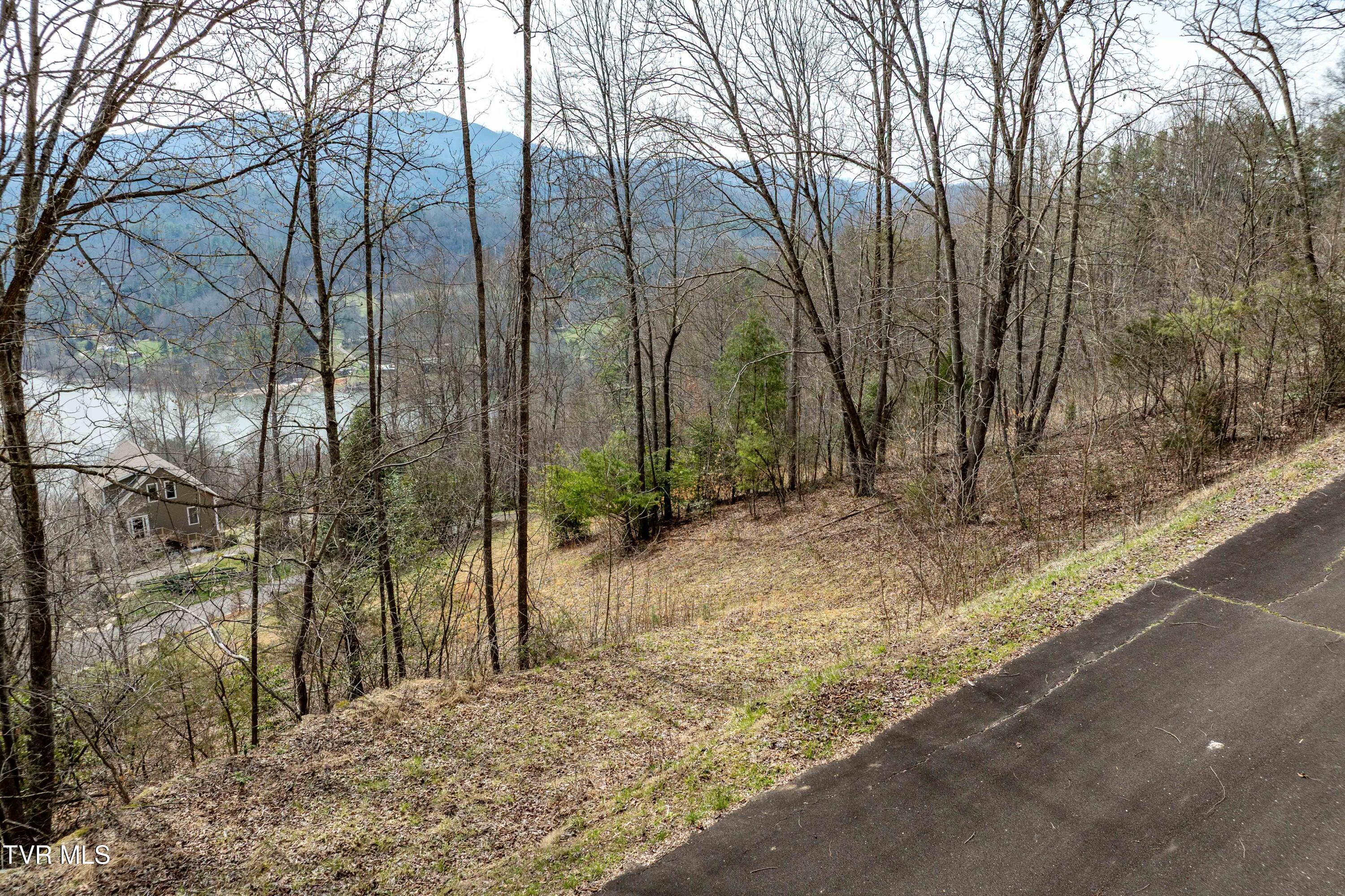 Tbd Tbd Lane, Unit 19 Butler, TN 37640 - Photo 21 of 31 TD Lakeridge Lot 19 (21 of 31)