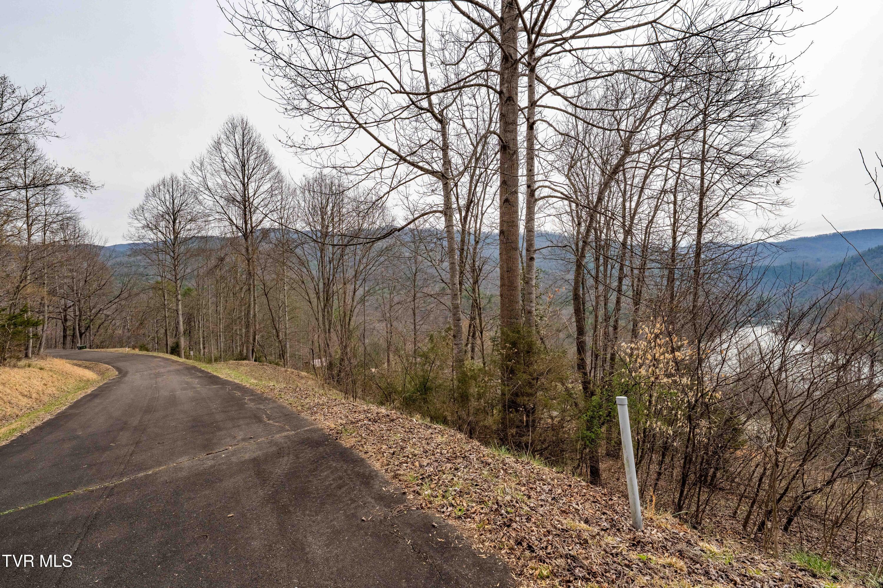 Tbd Tbd Lane, Unit 19 Butler, TN 37640 - Photo 22 of 31 TD Lakeridge Lot 19 (22 of 31)