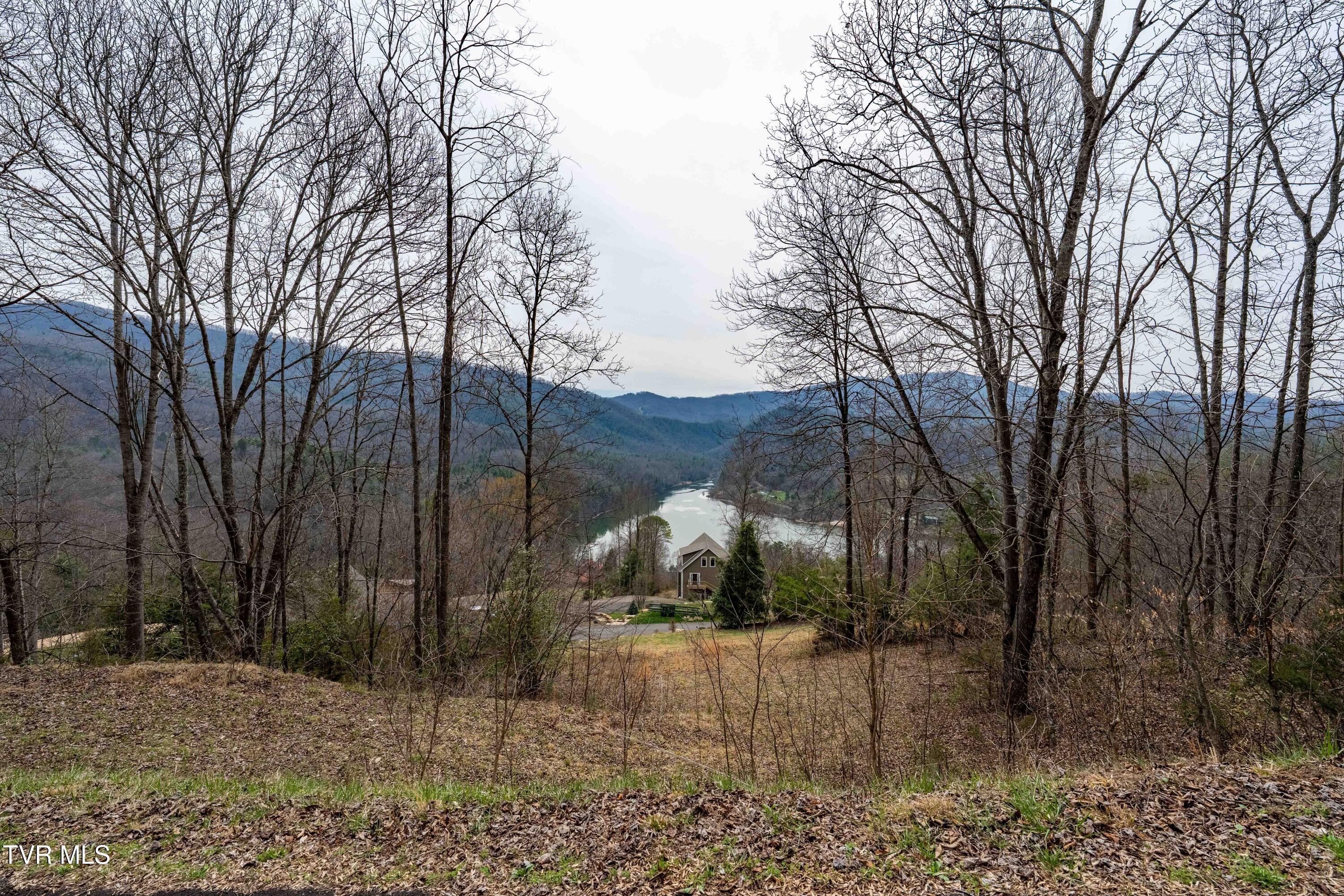 Tbd Tbd Lane, Unit 19 Butler, TN 37640 - Photo 23 of 31 TD Lakeridge Lot 19 (23 of 31)
