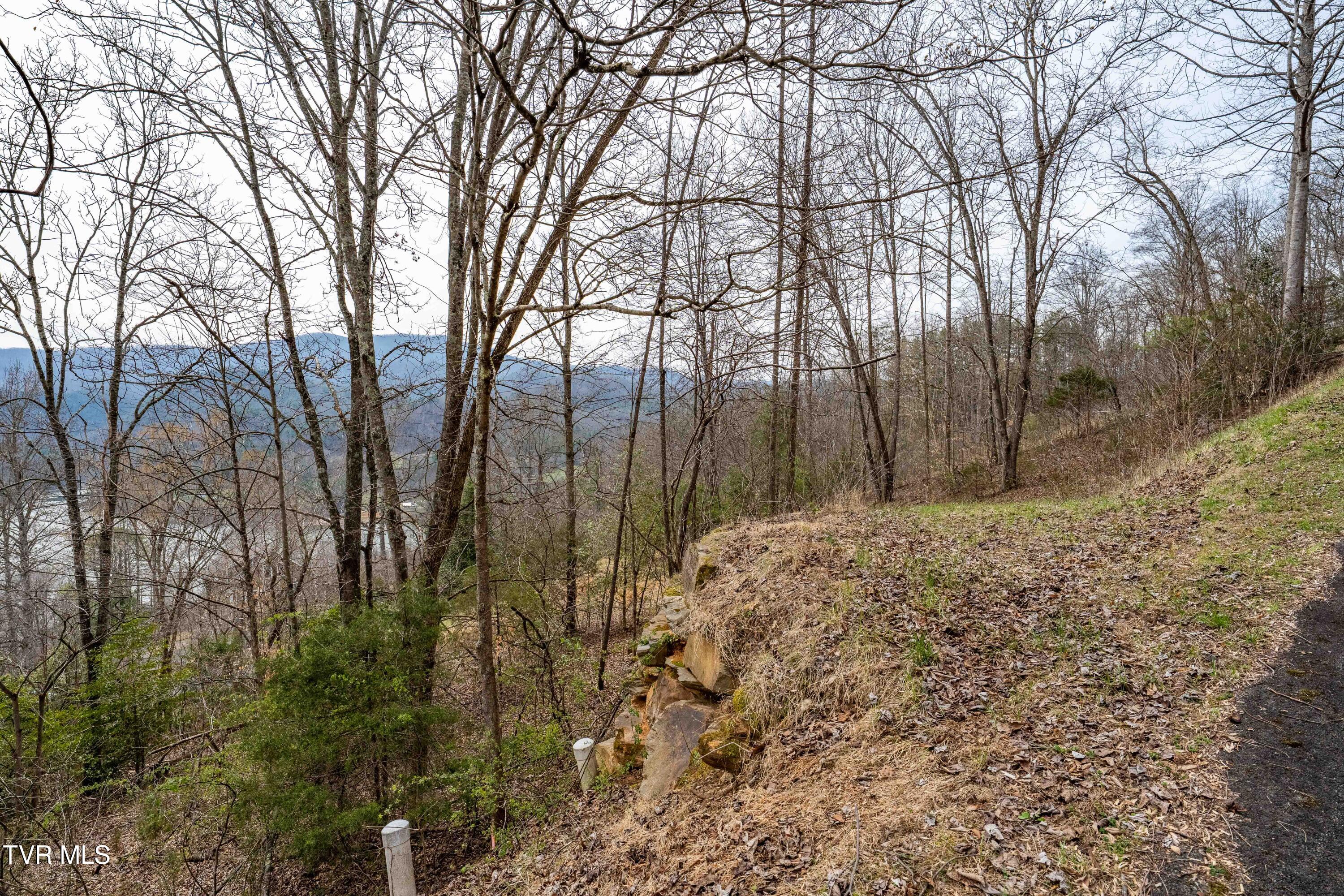 Tbd Tbd Lane, Unit 19 Butler, TN 37640 - Photo 24 of 31 TD Lakeridge Lot 19 (24 of 31)