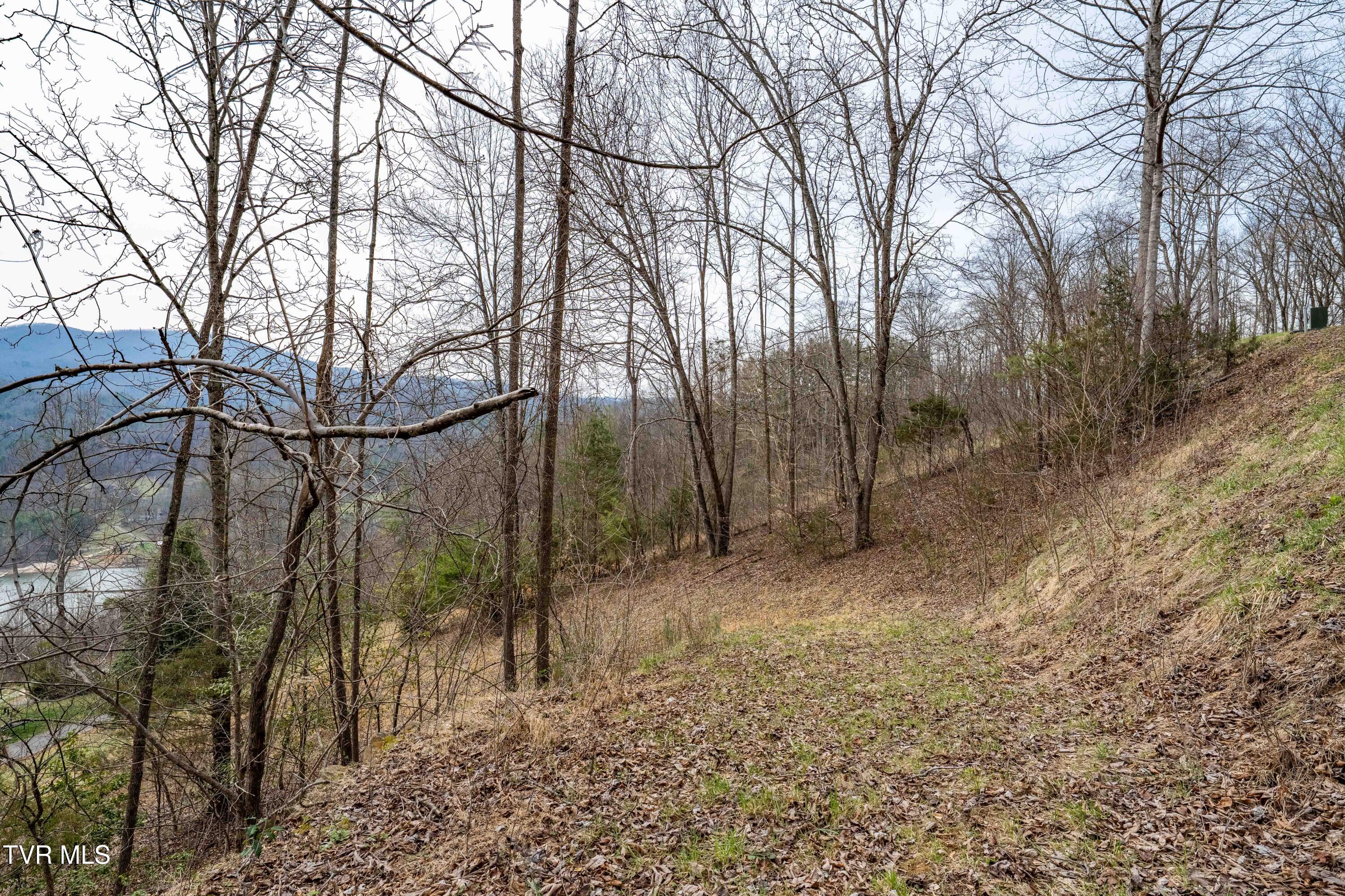 Tbd Tbd Lane, Unit 19 Butler, TN 37640 - Photo 25 of 31 TD Lakeridge Lot 19 (25 of 31)