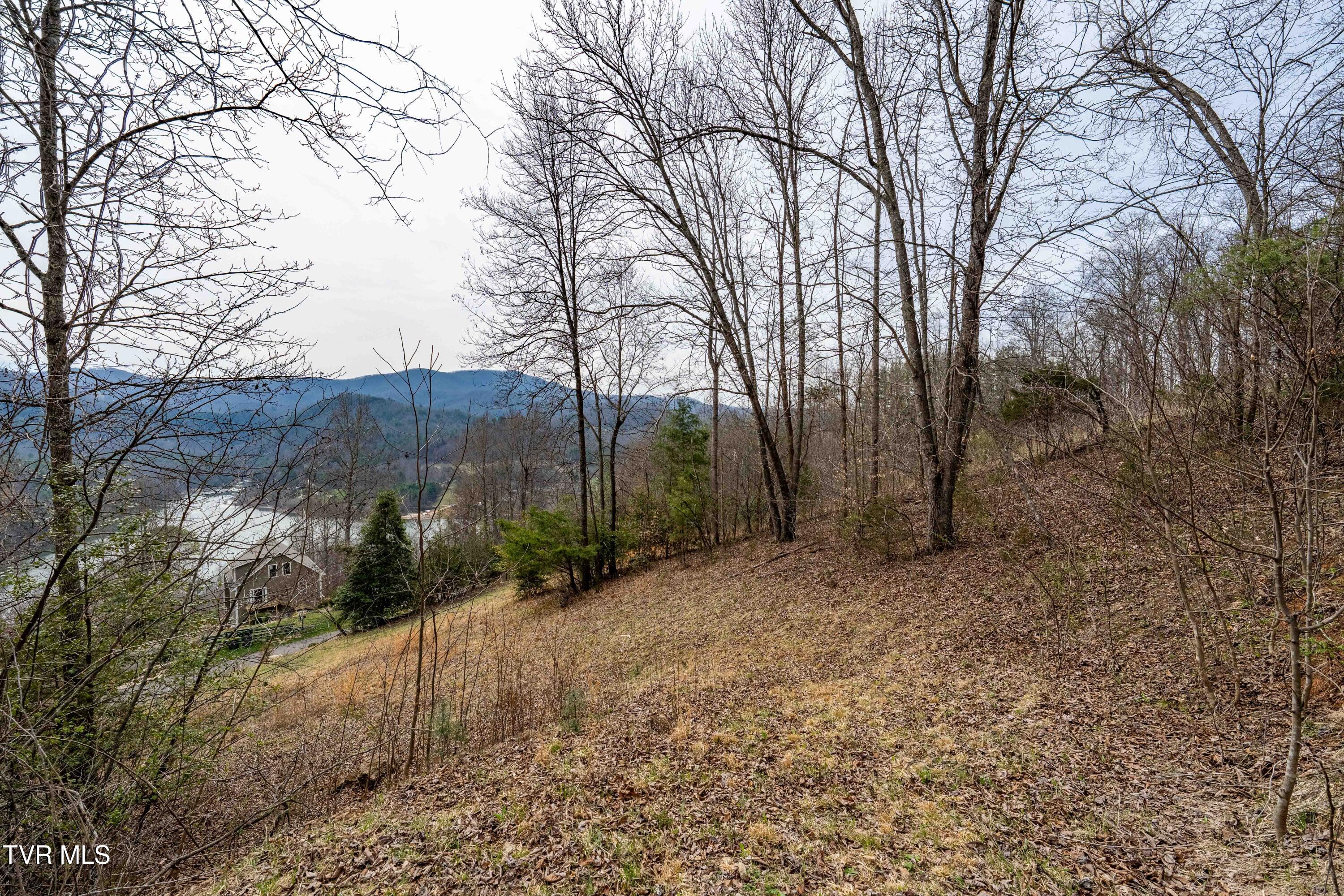Tbd Tbd Lane, Unit 19 Butler, TN 37640 - Photo 26 of 31 TD Lakeridge Lot 19 (26 of 31)