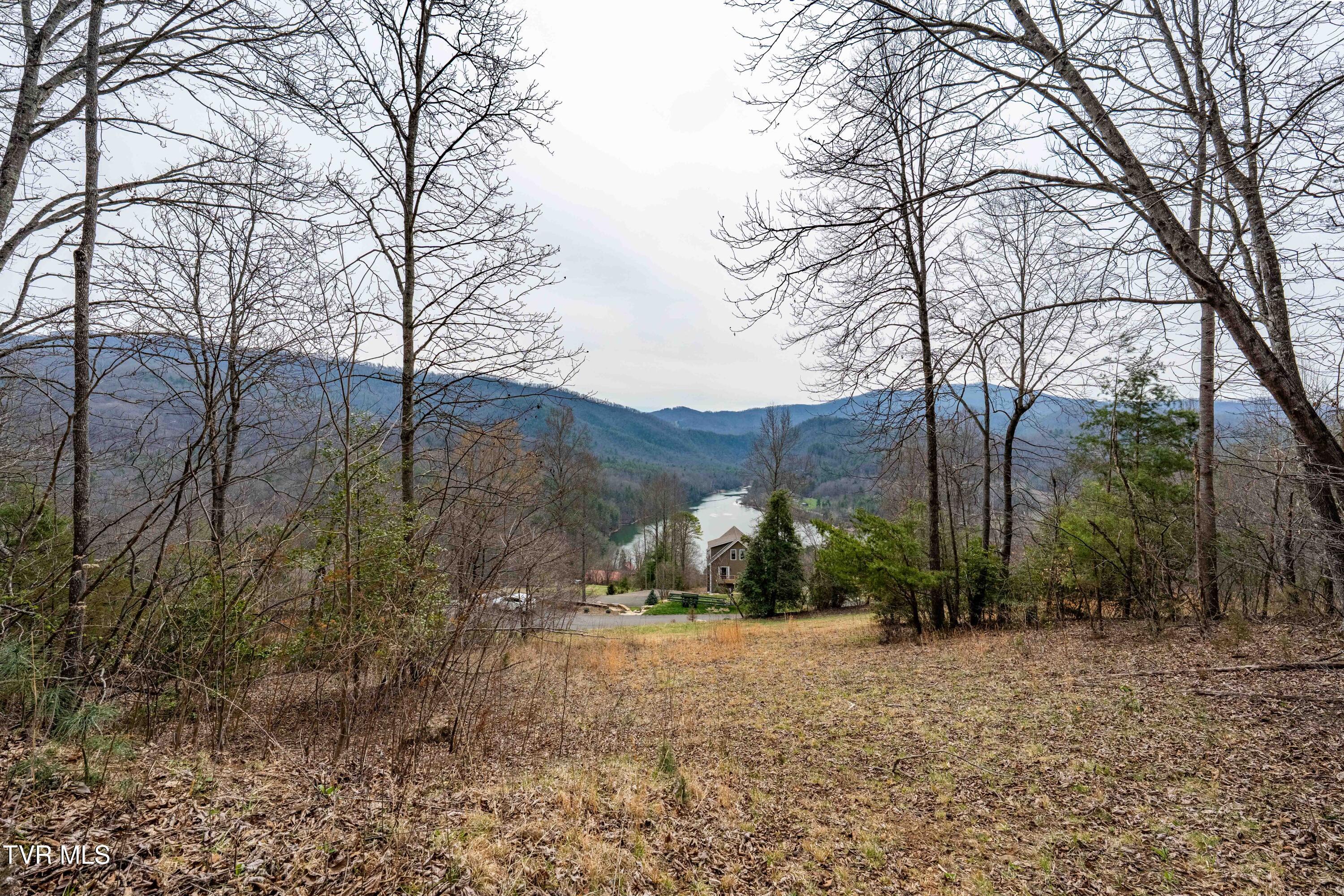 Tbd Tbd Lane, Unit 19 Butler, TN 37640 - Photo 27 of 31 TD Lakeridge Lot 19 (27 of 31)