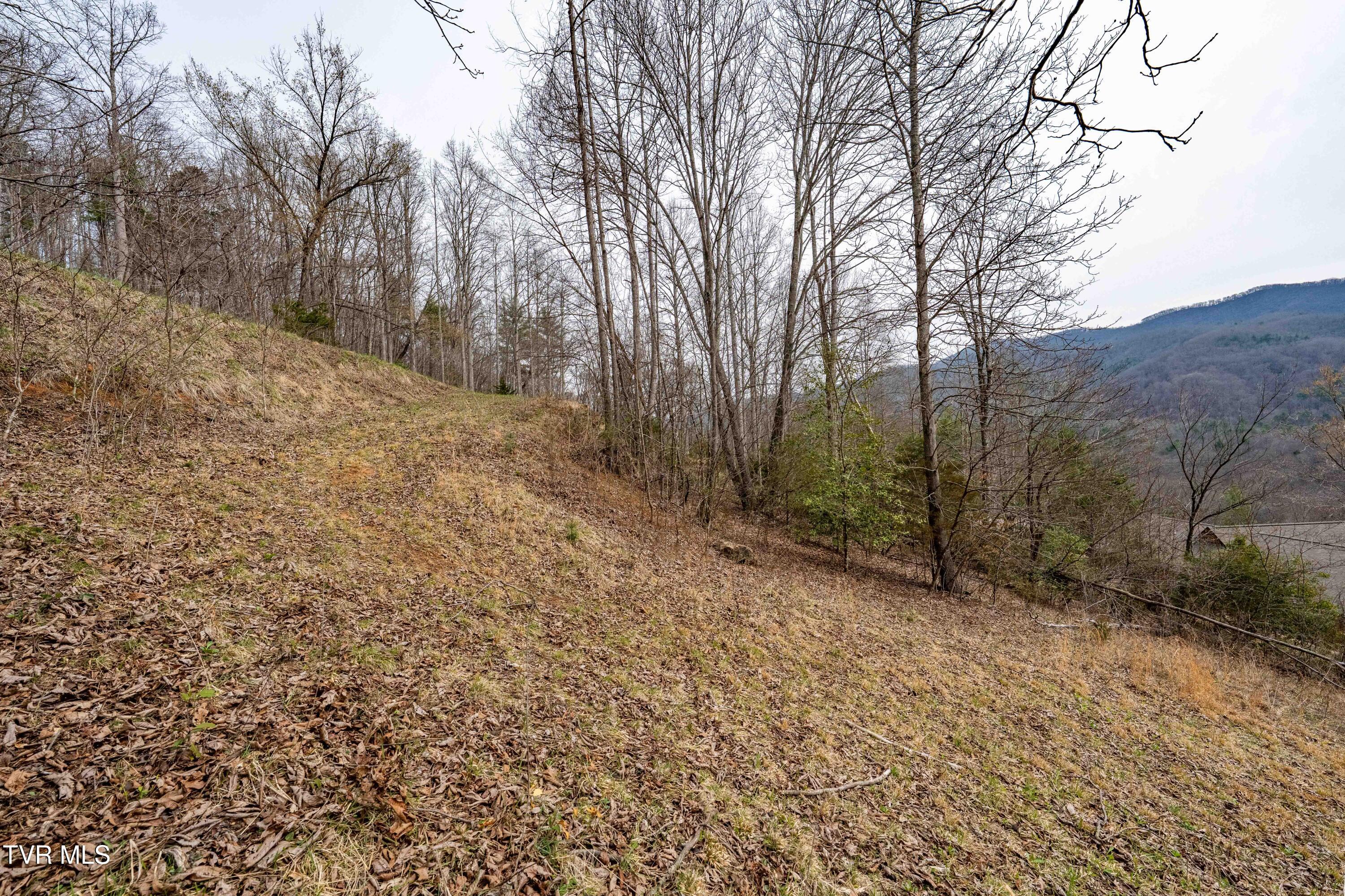 Tbd Tbd Lane, Unit 19 Butler, TN 37640 - Photo 28 of 31 TD Lakeridge Lot 19 (28 of 31)