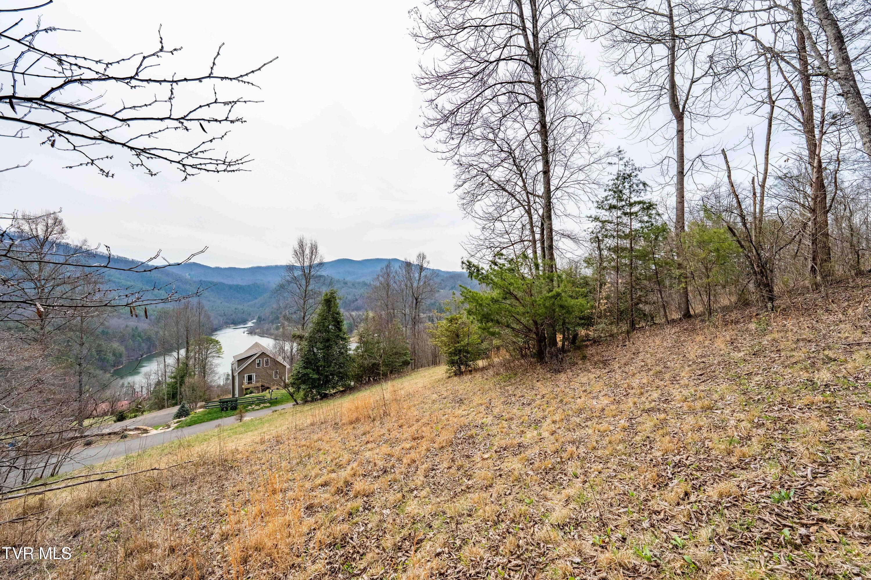 Tbd Tbd Lane, Unit 19 Butler, TN 37640 - Photo 29 of 31 TD Lakeridge Lot 19 (29 of 31)