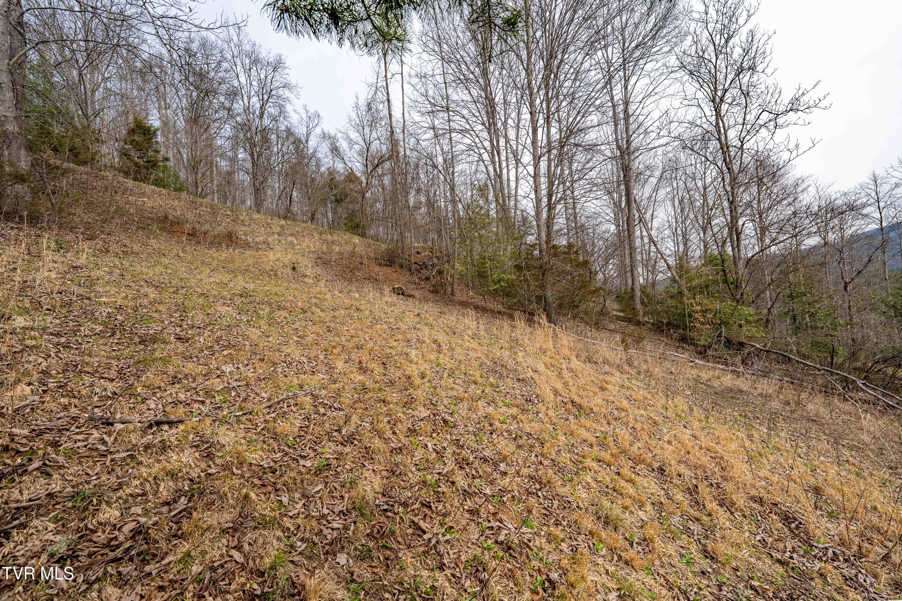 Tbd Tbd Lane, Unit 19 Butler, TN 37640 - Photo 30 of 31 TD Lakeridge Lot 19 (30 of 31)