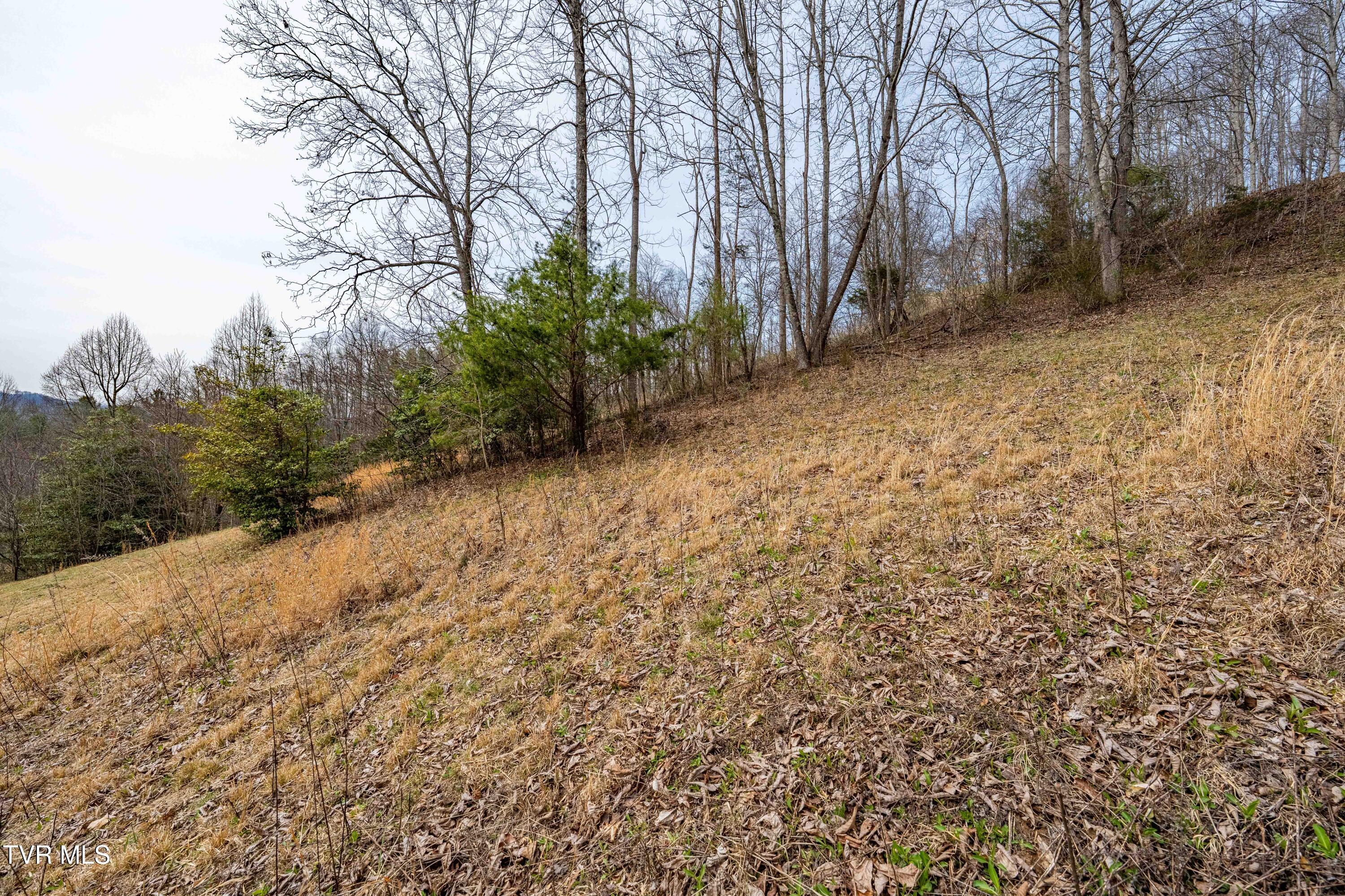 Tbd Tbd Lane, Unit 19 Butler, TN 37640 - Photo 31 of 31 TD Lakeridge Lot 19 (31 of 31)
