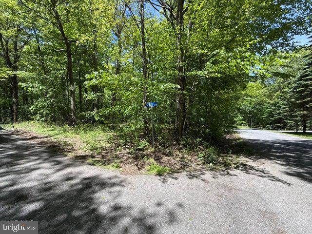 116 Timberman Road Claysburg, PA 16625 - Photo 3 of 4