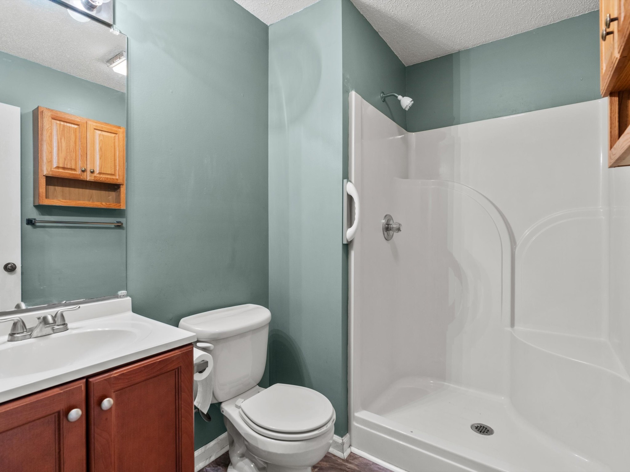 6934 Old Railroad Bed Road Toney, AL 35773 - Photo 21 of 38 a bathroom with a sink a toilet and shower