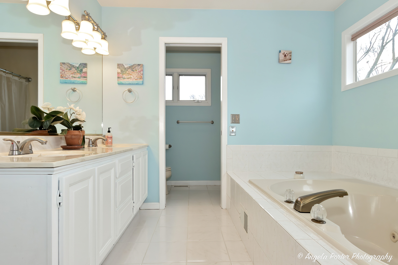 238 Harding Street Grayslake, IL 60030 - Photo 15 of 21 a bathroom with a sink a mirror and a bathtub
