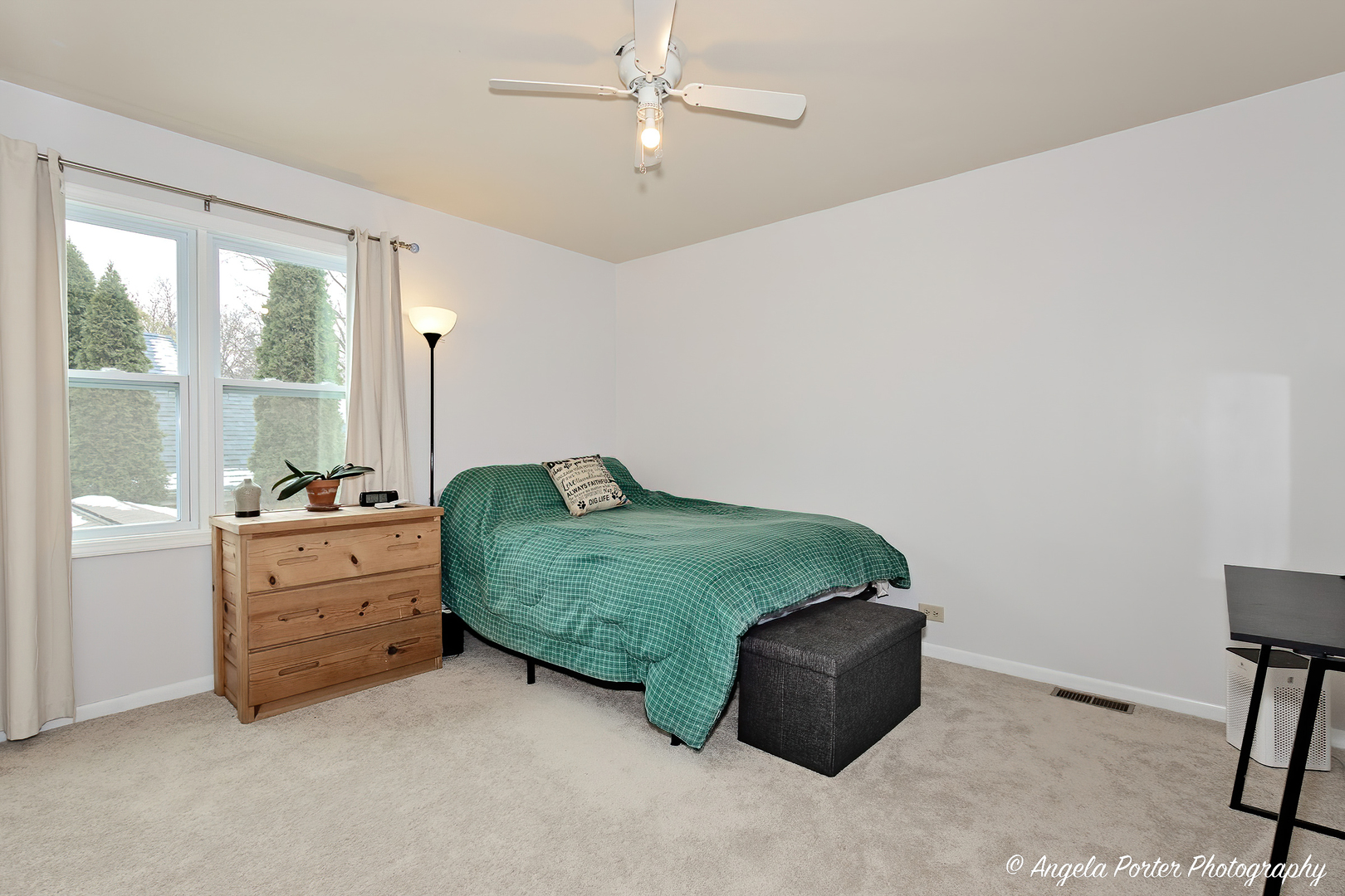 238 Harding Street Grayslake, IL 60030 - Photo 18 of 21 a living room with closet