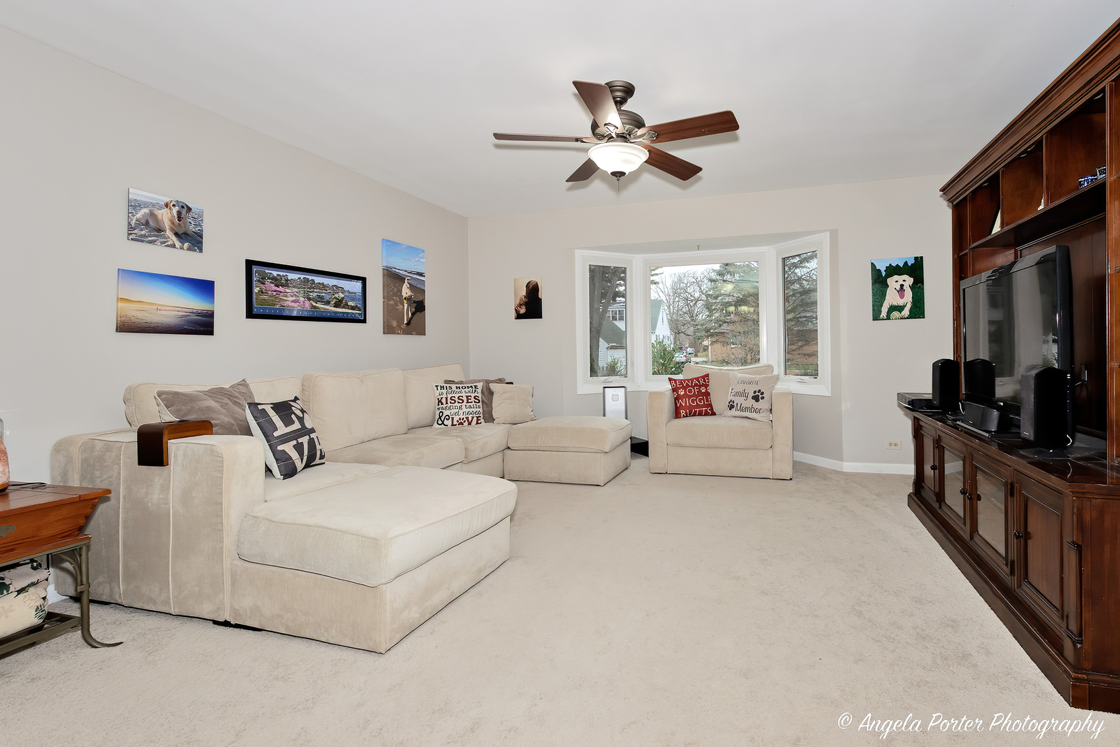 238 Harding Street Grayslake, IL 60030 - Photo 2 of 21 a living room with furniture and a flat screen tv