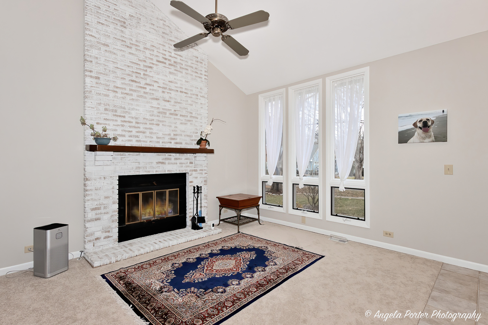 238 Harding Street Grayslake, IL 60030 - Photo 6 of 21 a living room with furniture and a fireplace