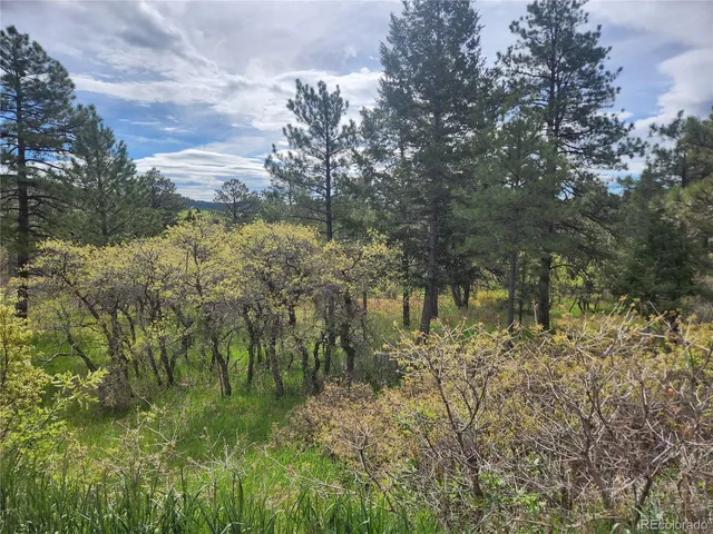 a view of lake from yard