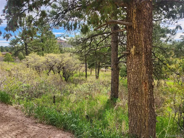 a view of outdoor space and trees