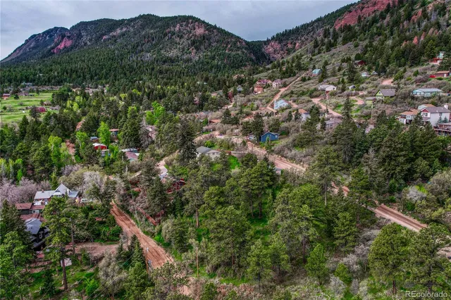a view of a house with a lush green forest