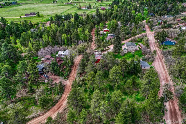 a view of a garden with plants