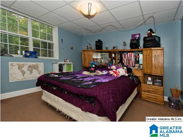 110 Hunter Ridge Lane Pell City, AL 35128 - Photo 19 of 28