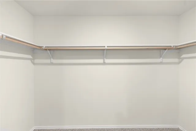 a close up view of racks