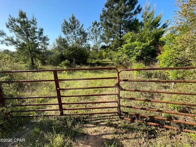 $650,000 | 0 Hwy 231 Alford, Alford, FL 32420