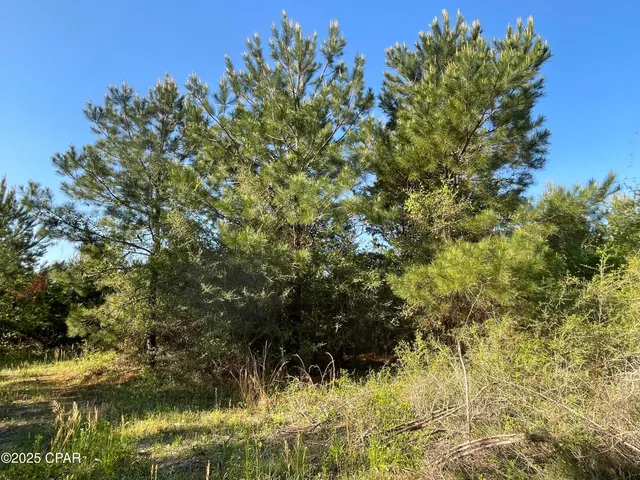 $650,000 | 0 Hwy 231 Alford, Alford, FL 32420