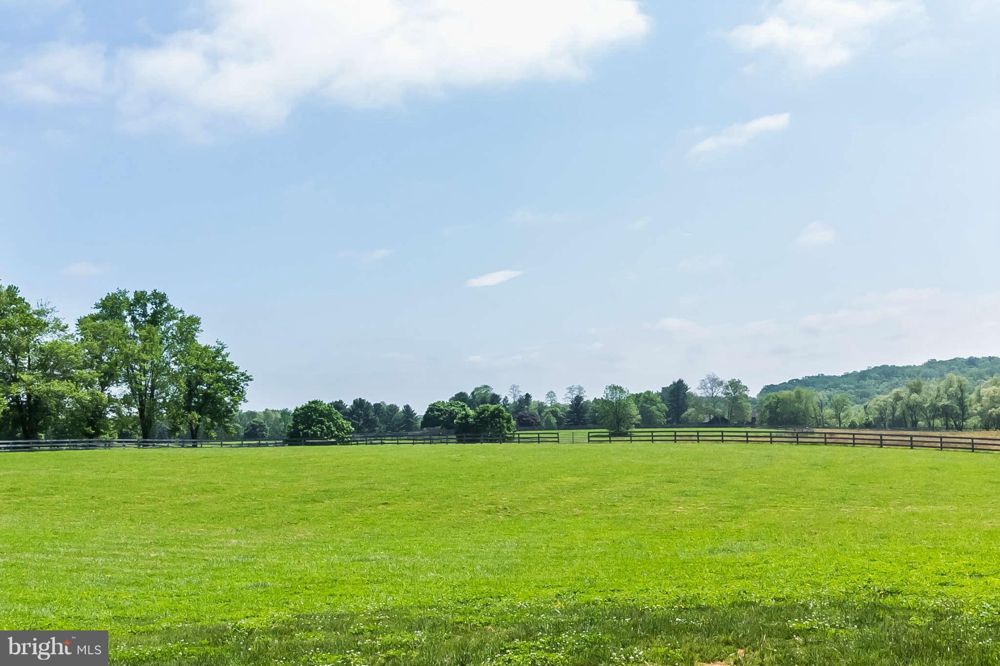 3717 Butler Road Glyndon, MD 21136 - Photo 3 of 30 pasture view