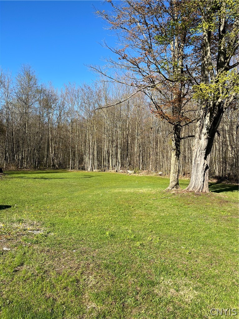 12920 Upton Road Victory, NY 13143 - Photo 1 of 12