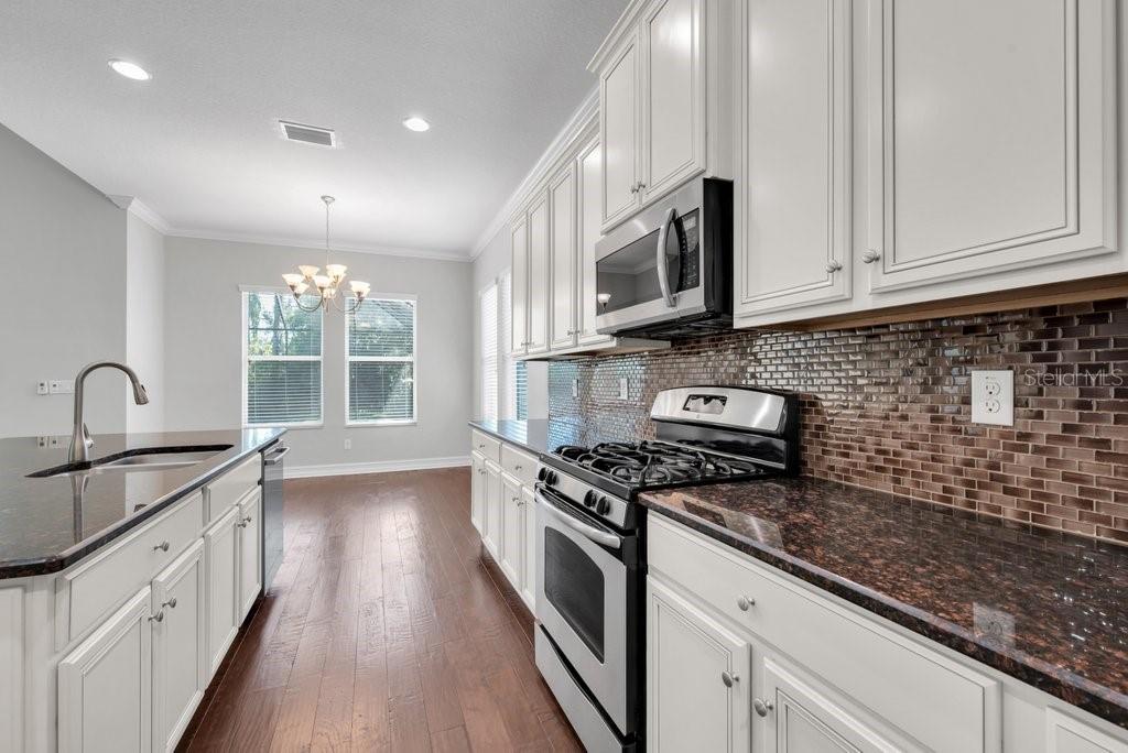 15607 Sunset Run Lane Lithia, FL 33547 - Photo 18 of 54 a kitchen with stainless steel appliances granite countertop a stove a sink and a microwave