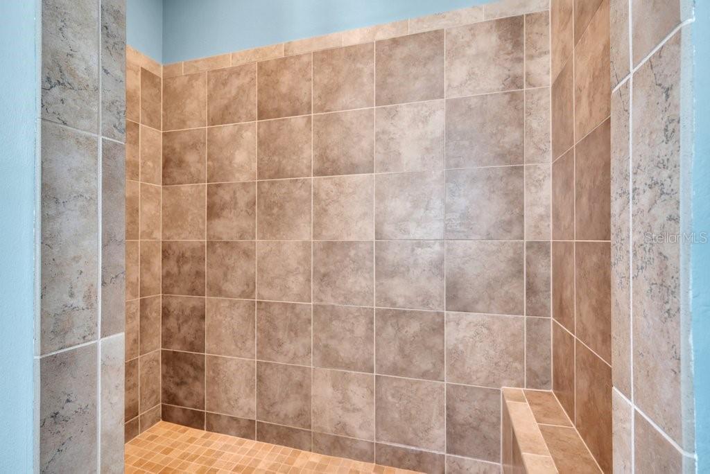 15607 Sunset Run Lane Lithia, FL 33547 - Photo 28 of 54 a bathroom with a shower
