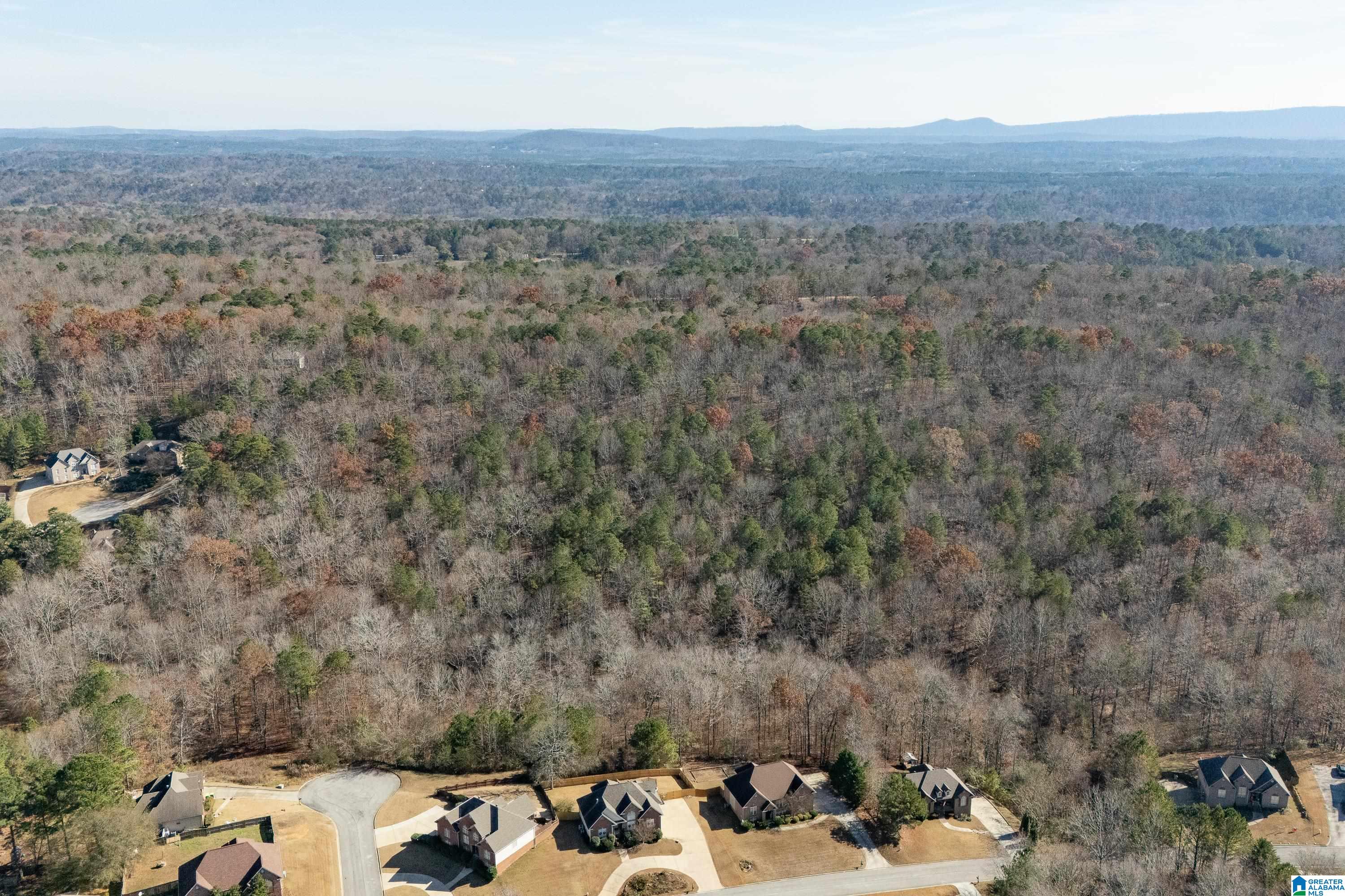 65 Ridgecrest Lane Trussville, AL 35173 - Photo 77 of 84