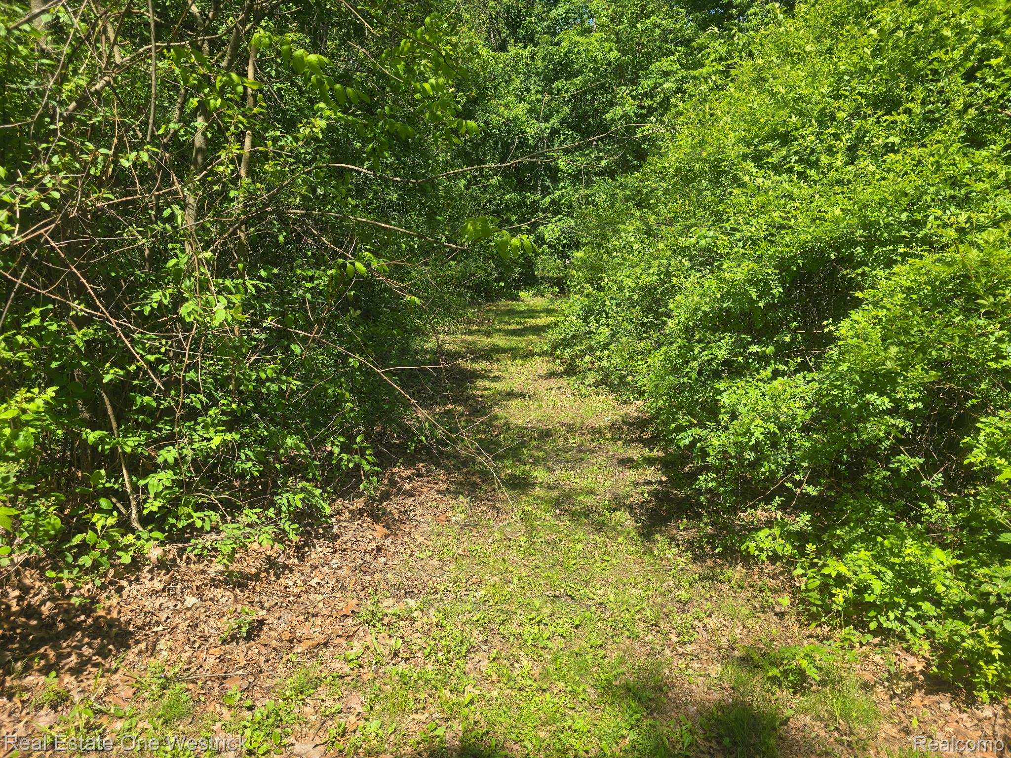 9236 River Road Algonac, MI 48001 - Photo 27 of 31 Path